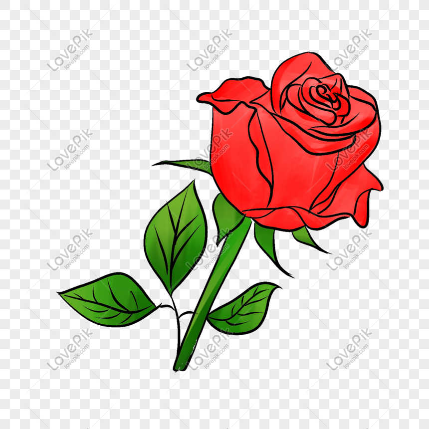 Detail Love Rose Flower Images Free Download Nomer 47