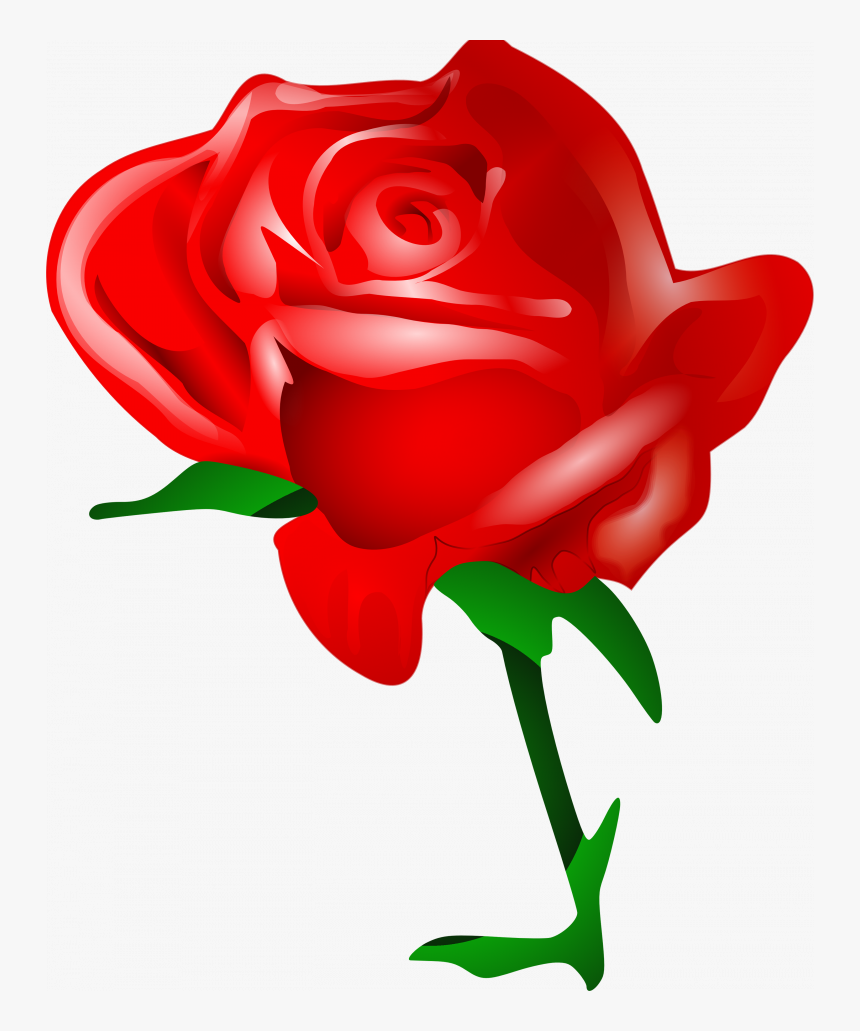 Detail Love Rose Images Free Download Nomer 30