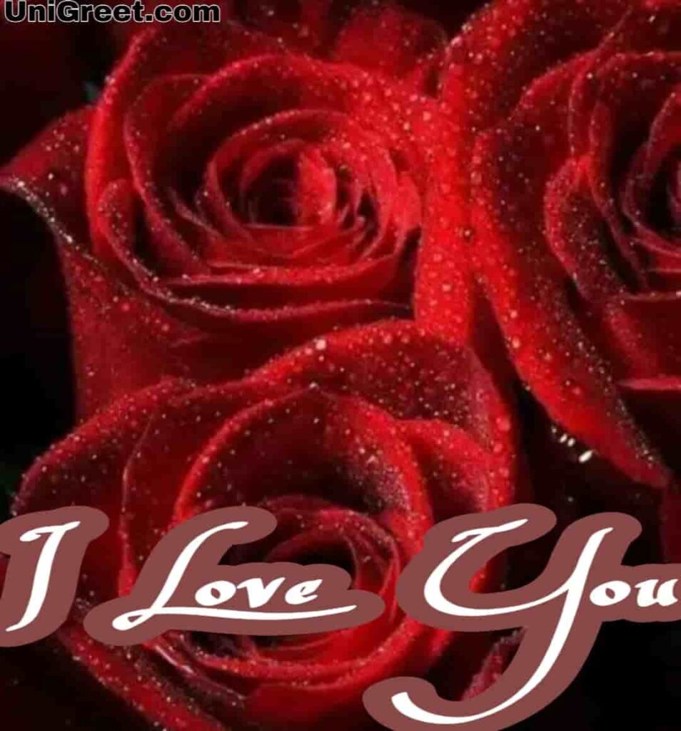 Detail Love Rose Images Free Download Nomer 46