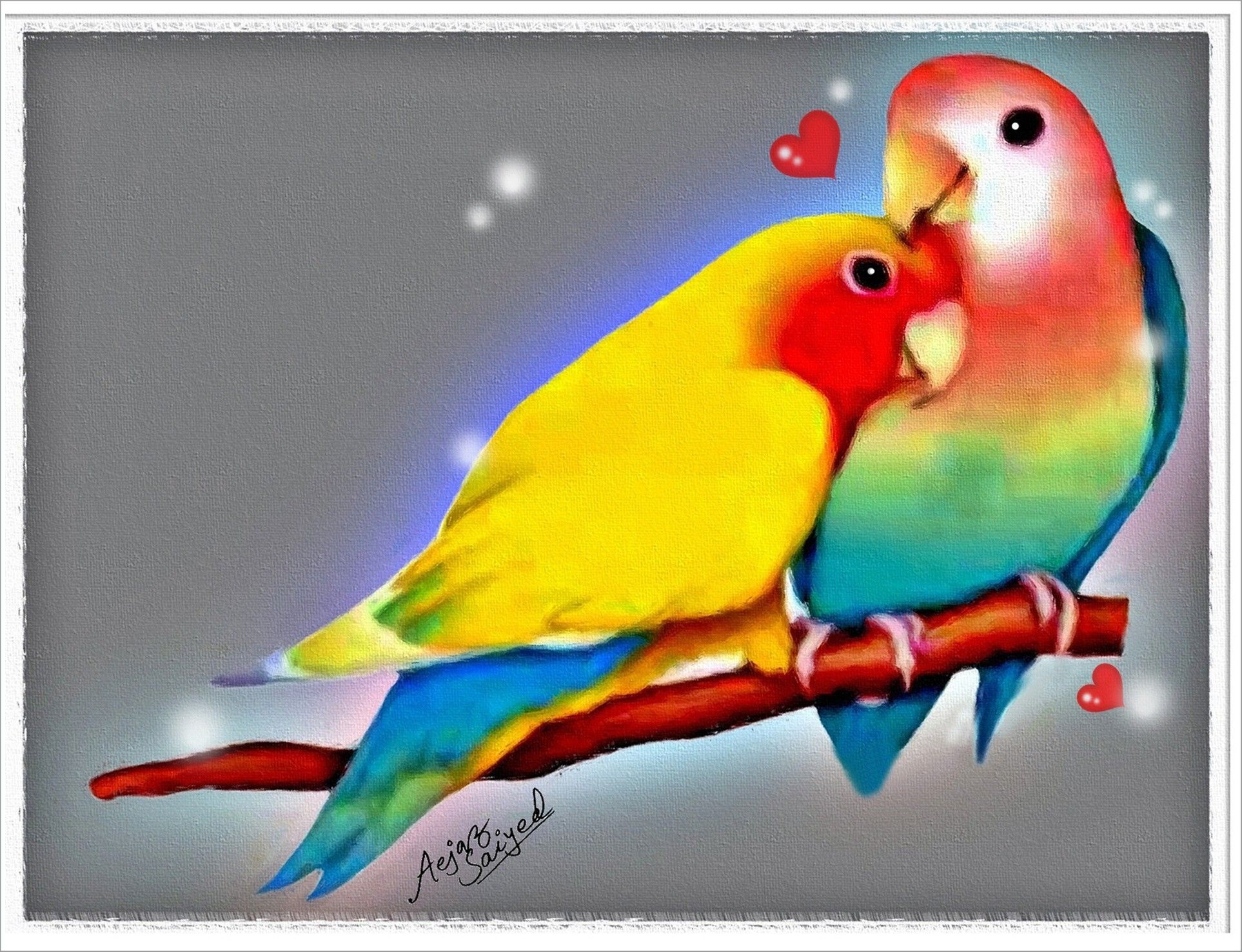 Detail Lovebird Wallpaper Hd Nomer 37