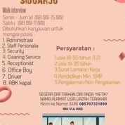 Detail Lowongan Supir Pribadi Rumah Tangga Surabaya Nomer 18