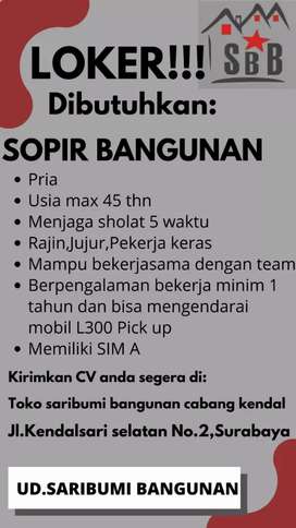 Detail Lowongan Supir Pribadi Rumah Tangga Surabaya Nomer 5