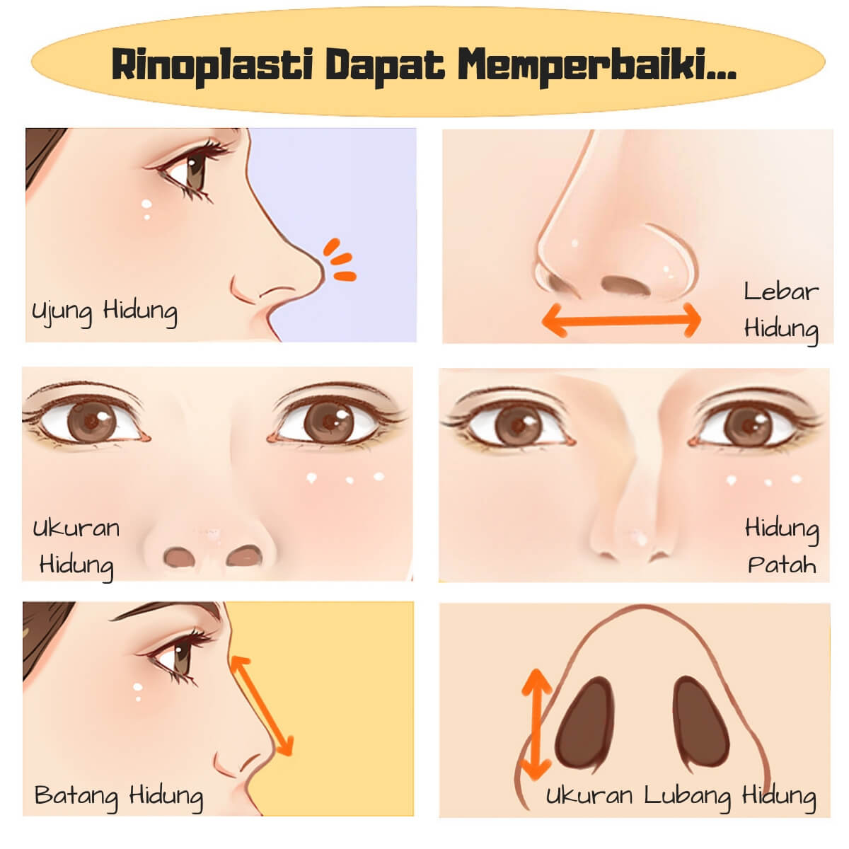 Detail Lubang Hidung Besar Nomer 24