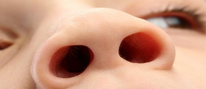 Detail Lubang Hidung Besar Nomer 35