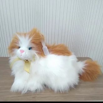 Detail Lucu Kucing Anggora Nomer 31