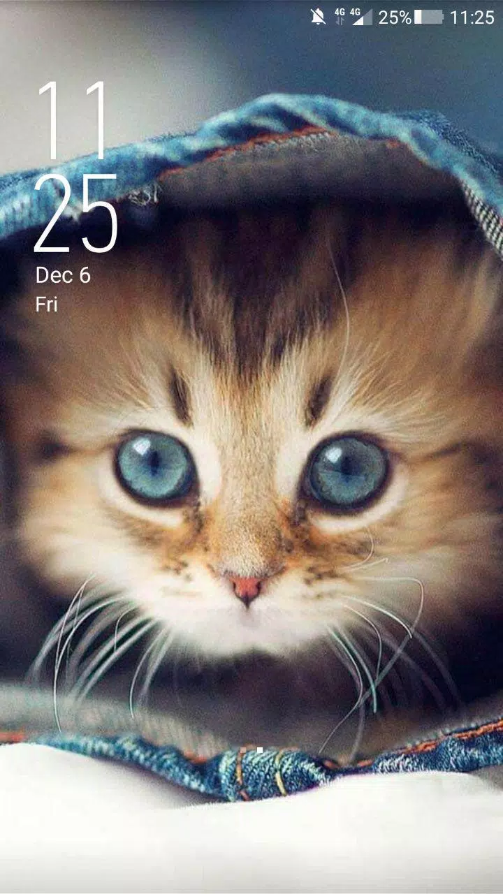 Detail Lucu Wallpaper Kucing Nomer 10