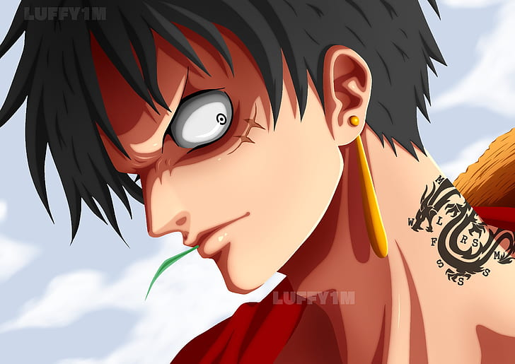 Detail Luffy Hd Nomer 10