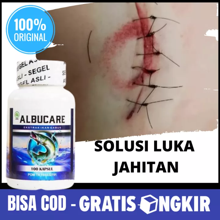 Detail Luka Di Perut Nomer 45