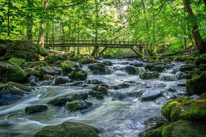 Pemandangan Air Sungai - KibrisPDR