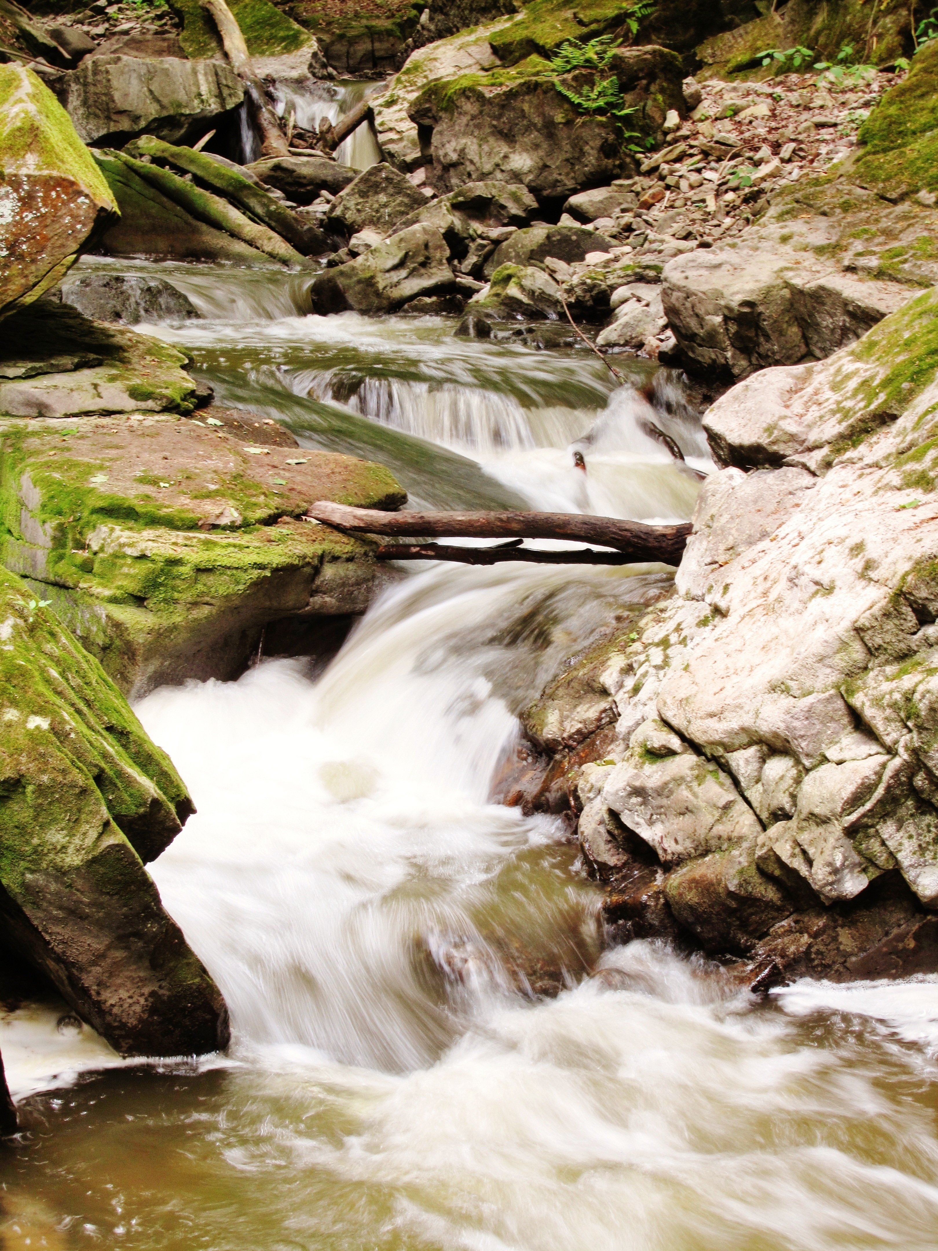 Detail Pemandangan Air Sungai Nomer 11