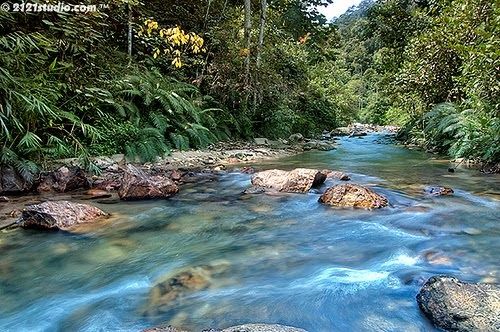 Detail Pemandangan Air Sungai Nomer 3