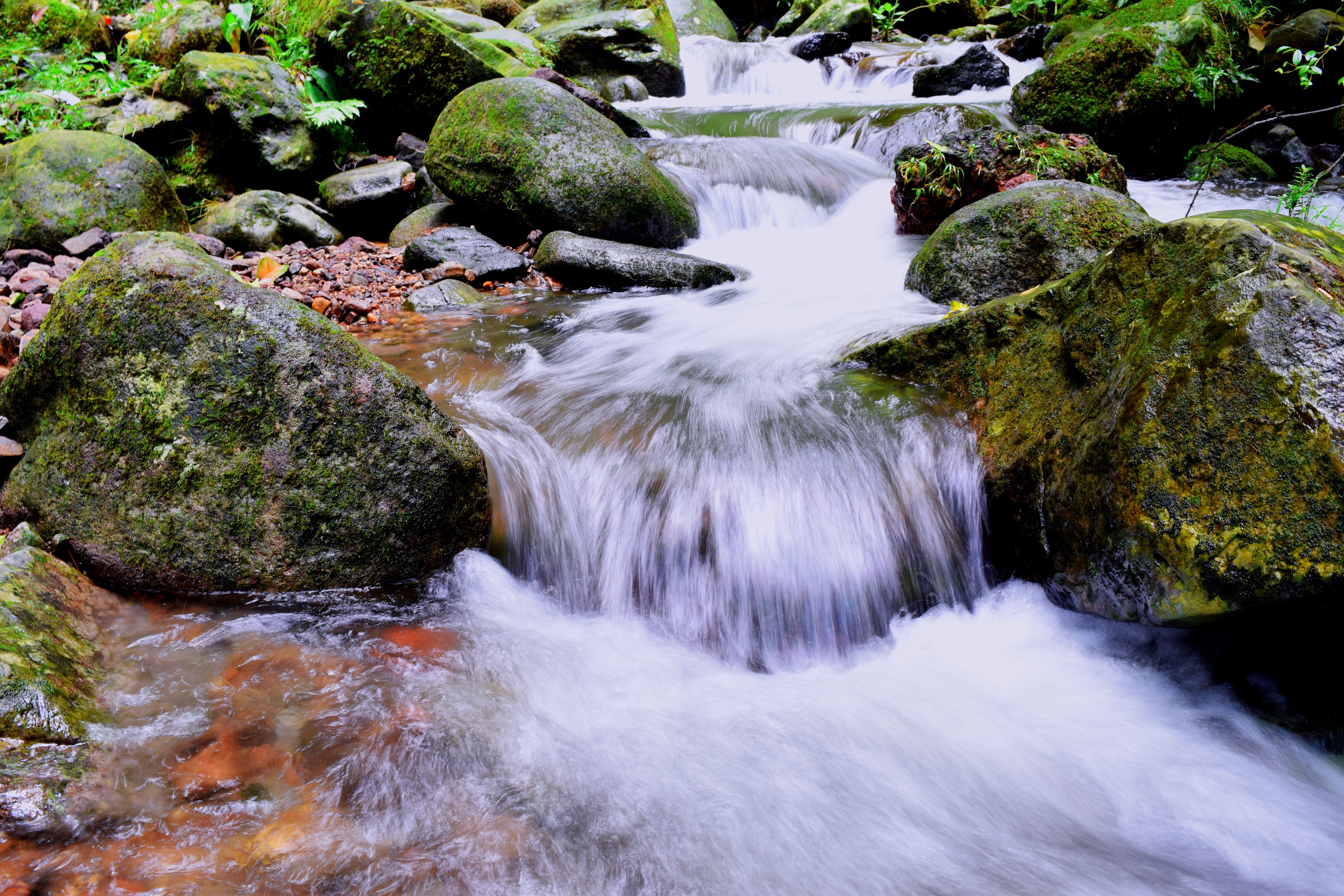 Detail Pemandangan Air Sungai Nomer 4