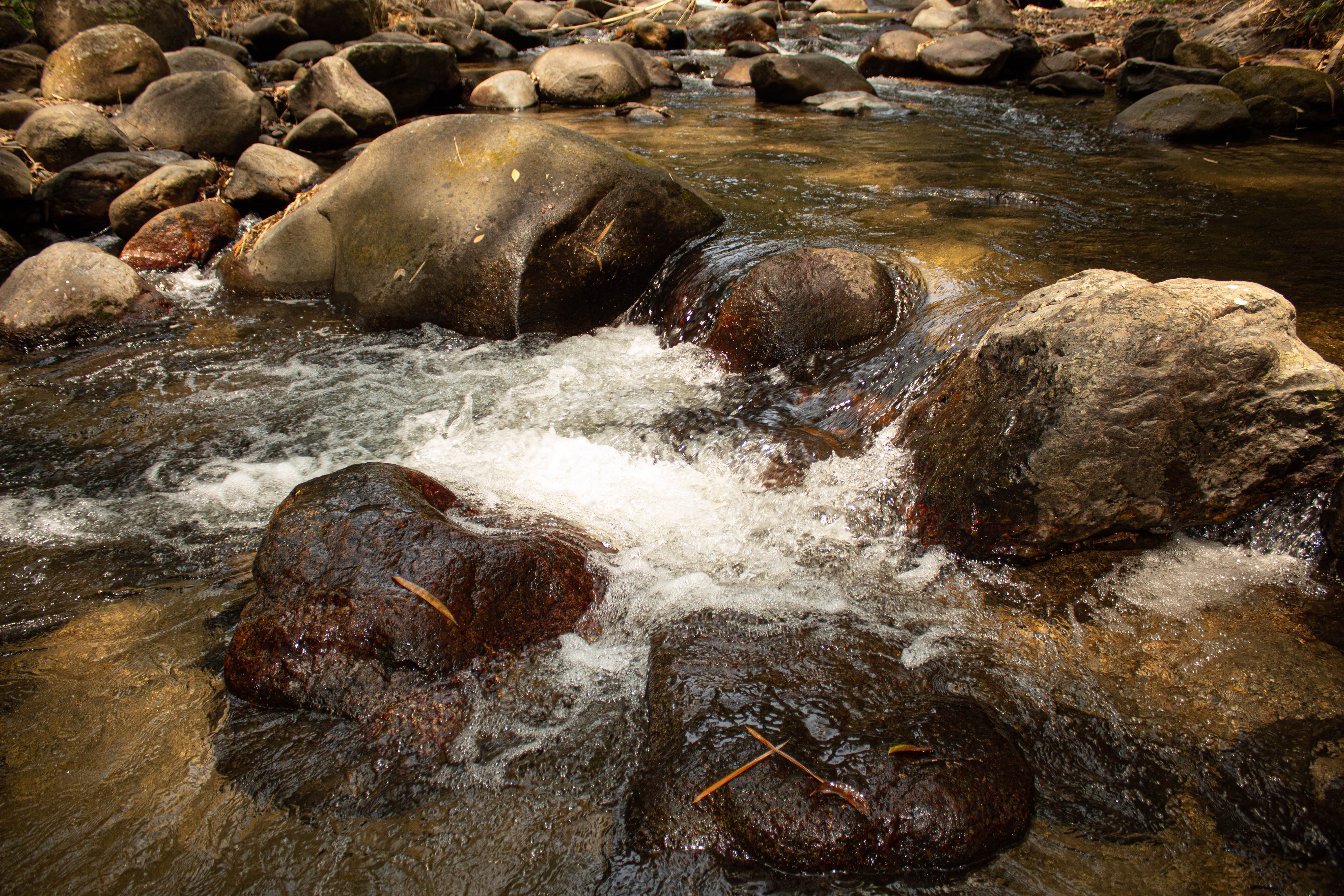 Detail Pemandangan Air Sungai Nomer 47