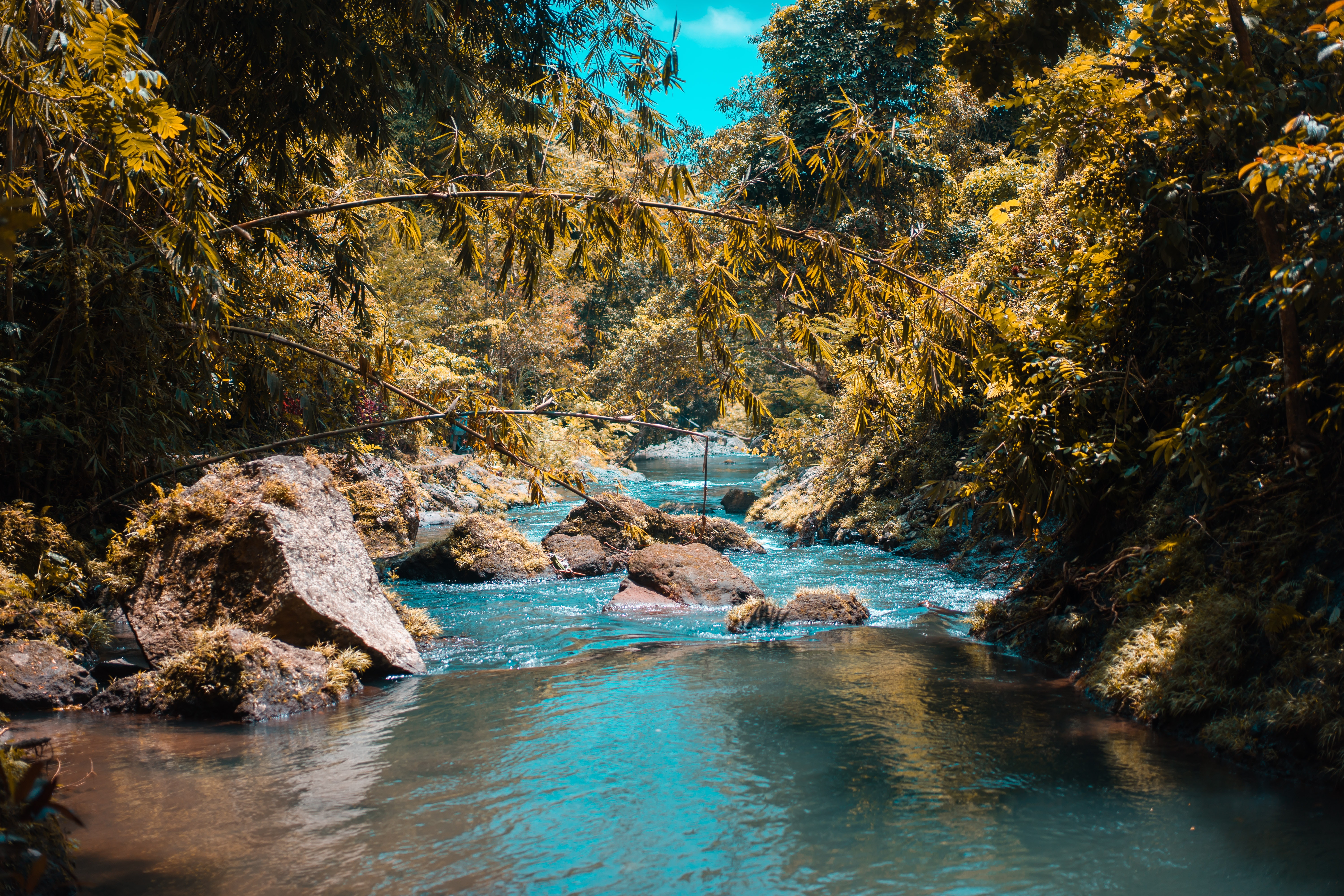 Detail Pemandangan Air Sungai Nomer 49