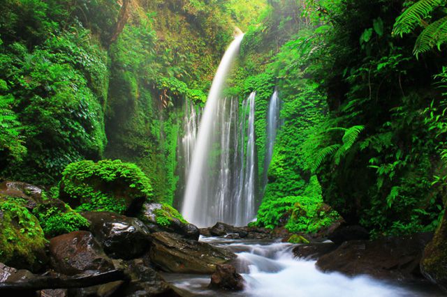 Detail Pemandangan Alam Air Terjun Nomer 12