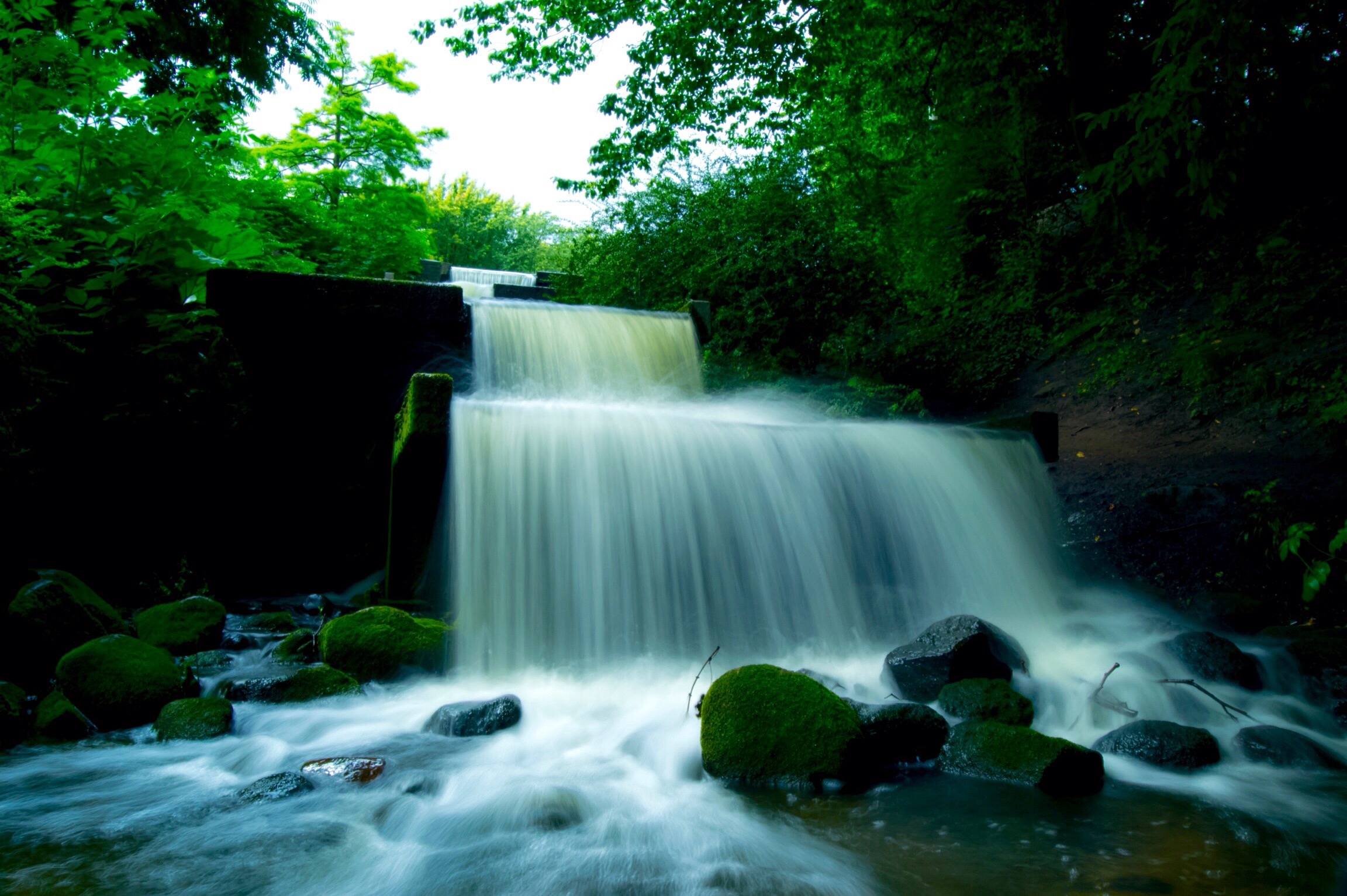 Detail Pemandangan Alam Air Terjun Nomer 24