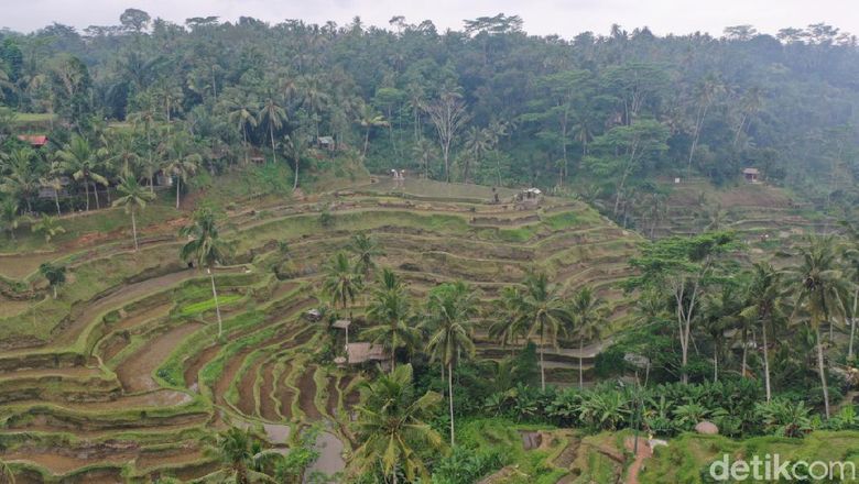 Detail Pemandangan Alam Asli Indonesia Nomer 29