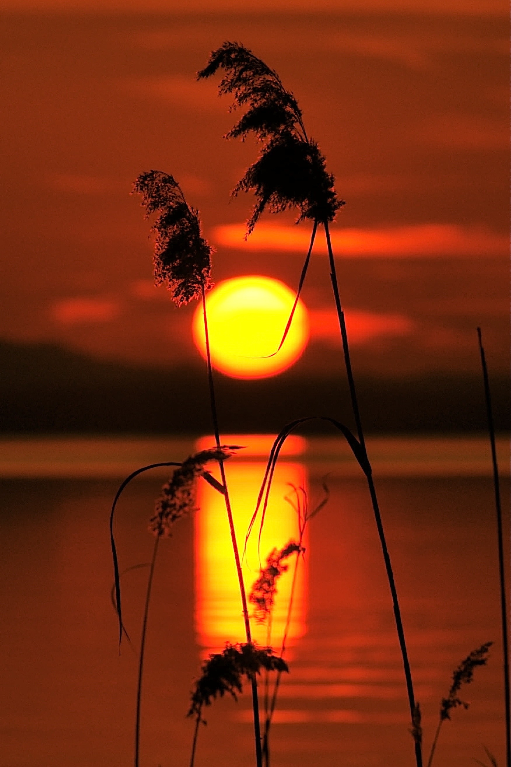 Pemandangan Alam Asli Sunset - 58+ Koleksi Gambar