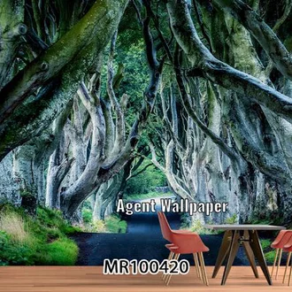 Detail Pemandangan Alam Hutan Wallpaper Nomer 36