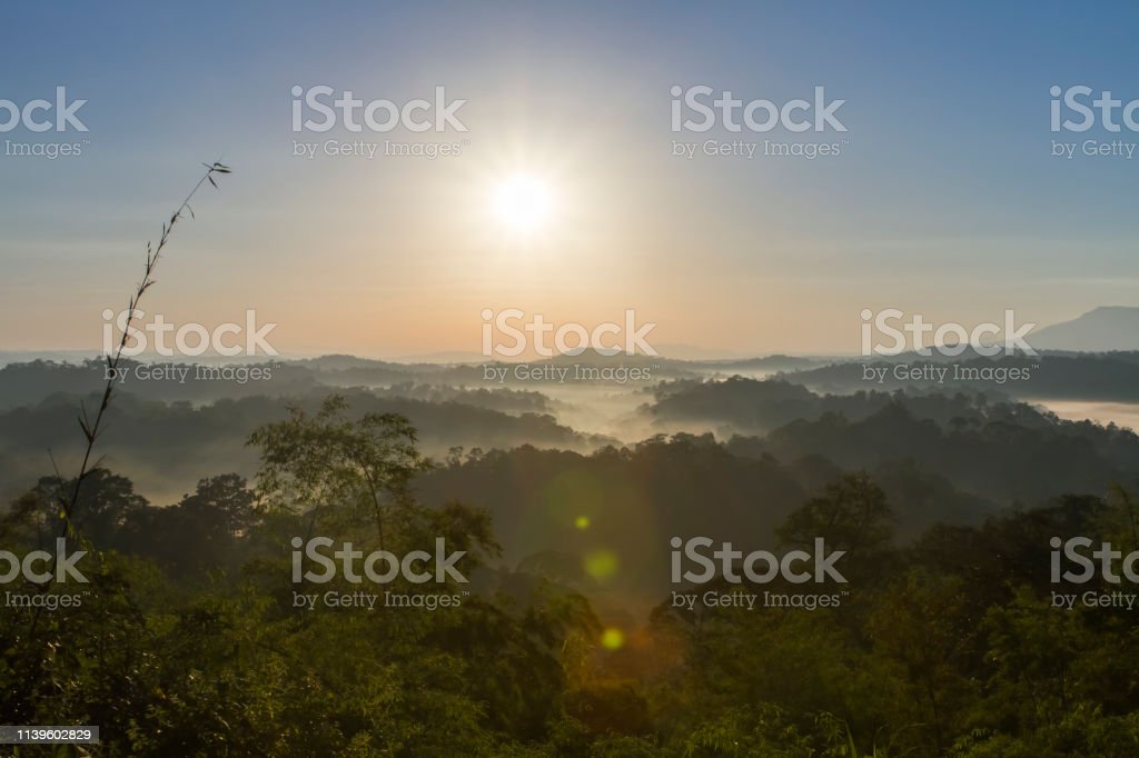 Detail Pemandangan Alam Pagi Hari Nomer 19