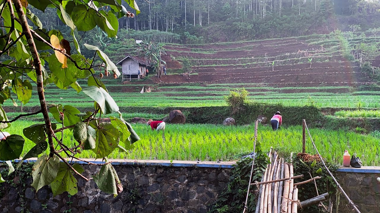 Detail Pemandangan Alam Pedesaan Yang Indah Nomer 31