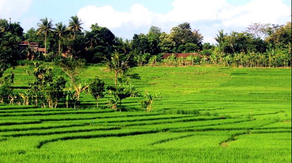 Detail Pemandangan Alam Pedesaan Yang Indah Nomer 41