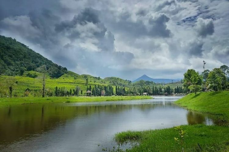 Detail Pemandangan Alam Puncak Nomer 11