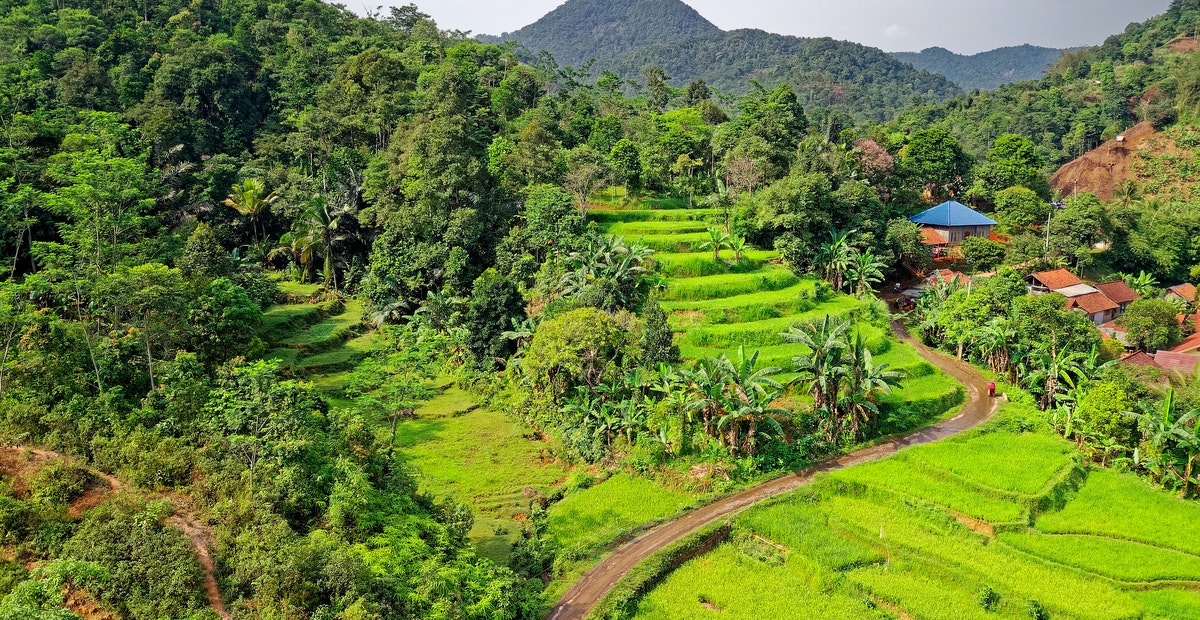 Detail Pemandangan Alam Puncak Nomer 26