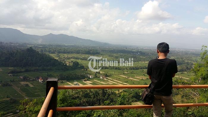 Detail Pemandangan Alam Puncak Nomer 36