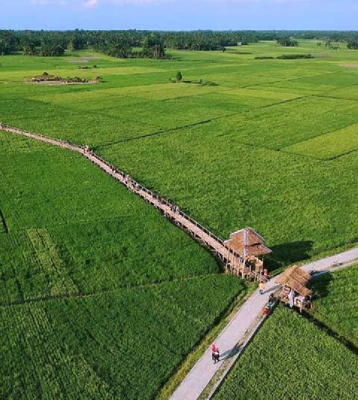 Detail Pemandangan Alam Sawah Nomer 33