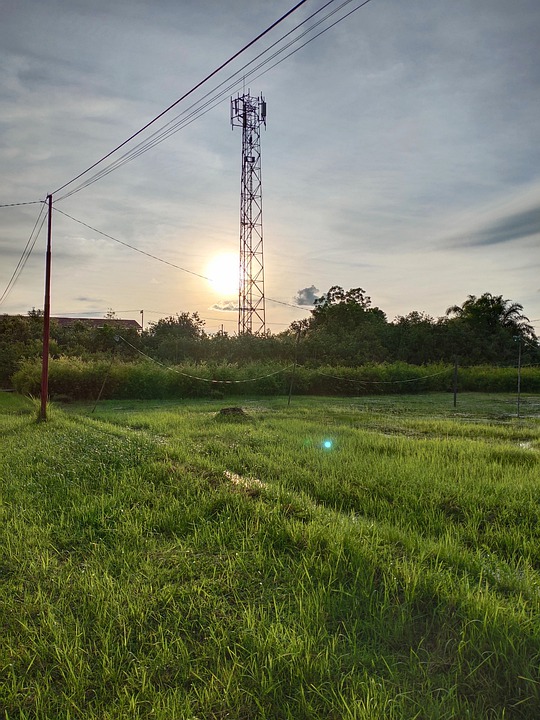 Detail Pemandangan Alam Sawah Nomer 41