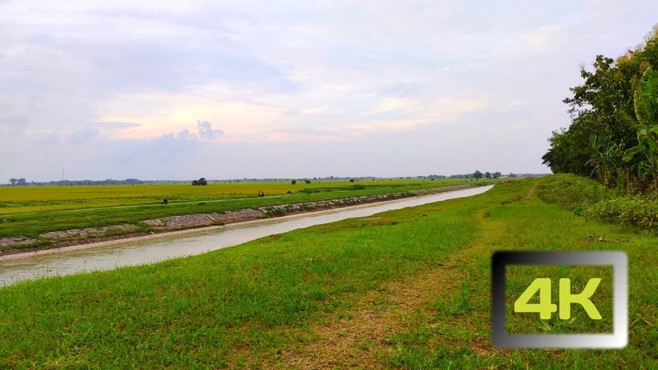 Detail Pemandangan Alam Sawah Nomer 51