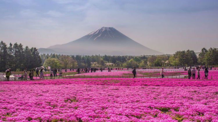 Detail Pemandangan Alam Terindah Di Jepang Nomer 19