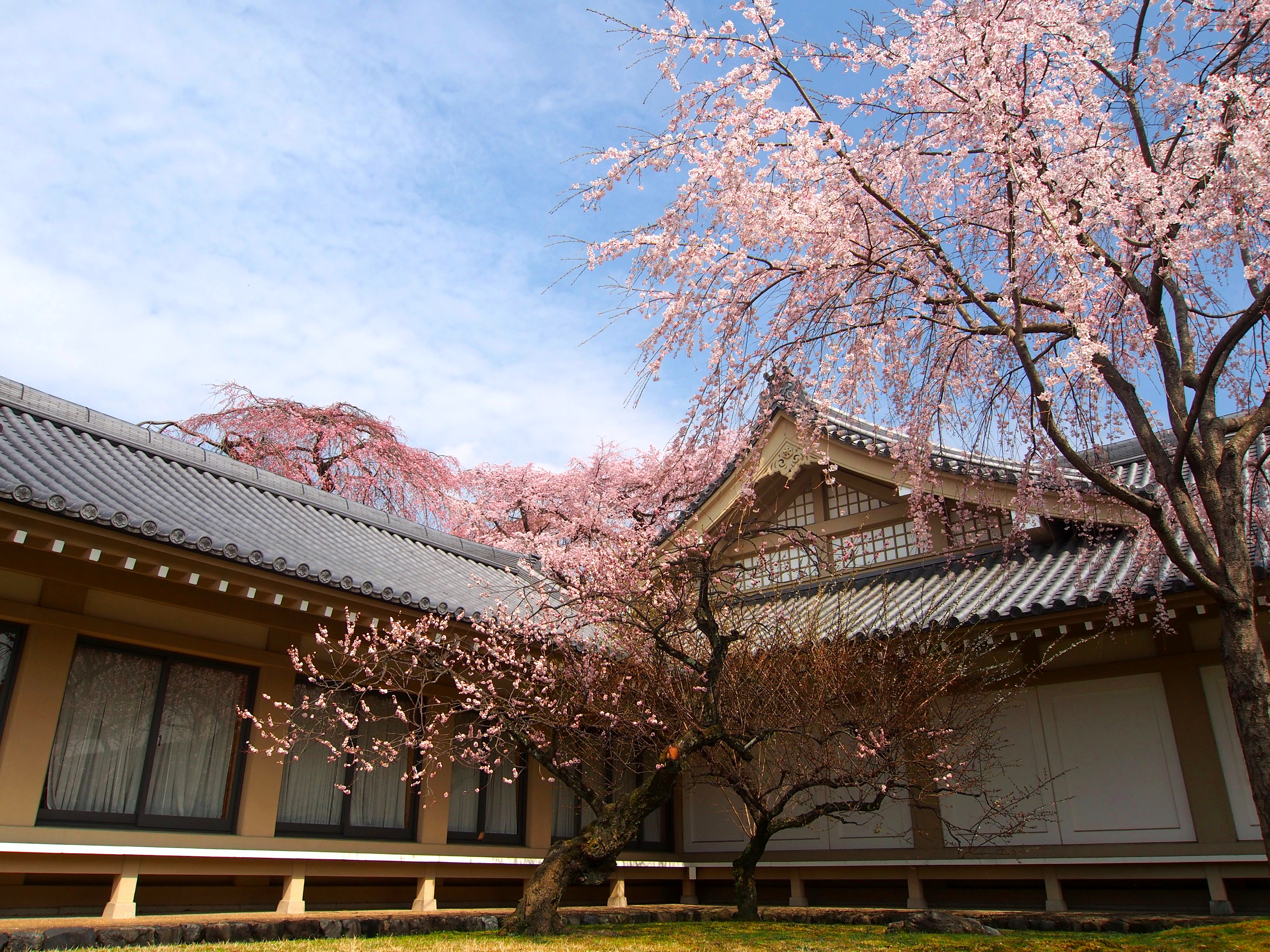 Detail Pemandangan Alam Terindah Di Jepang Nomer 44