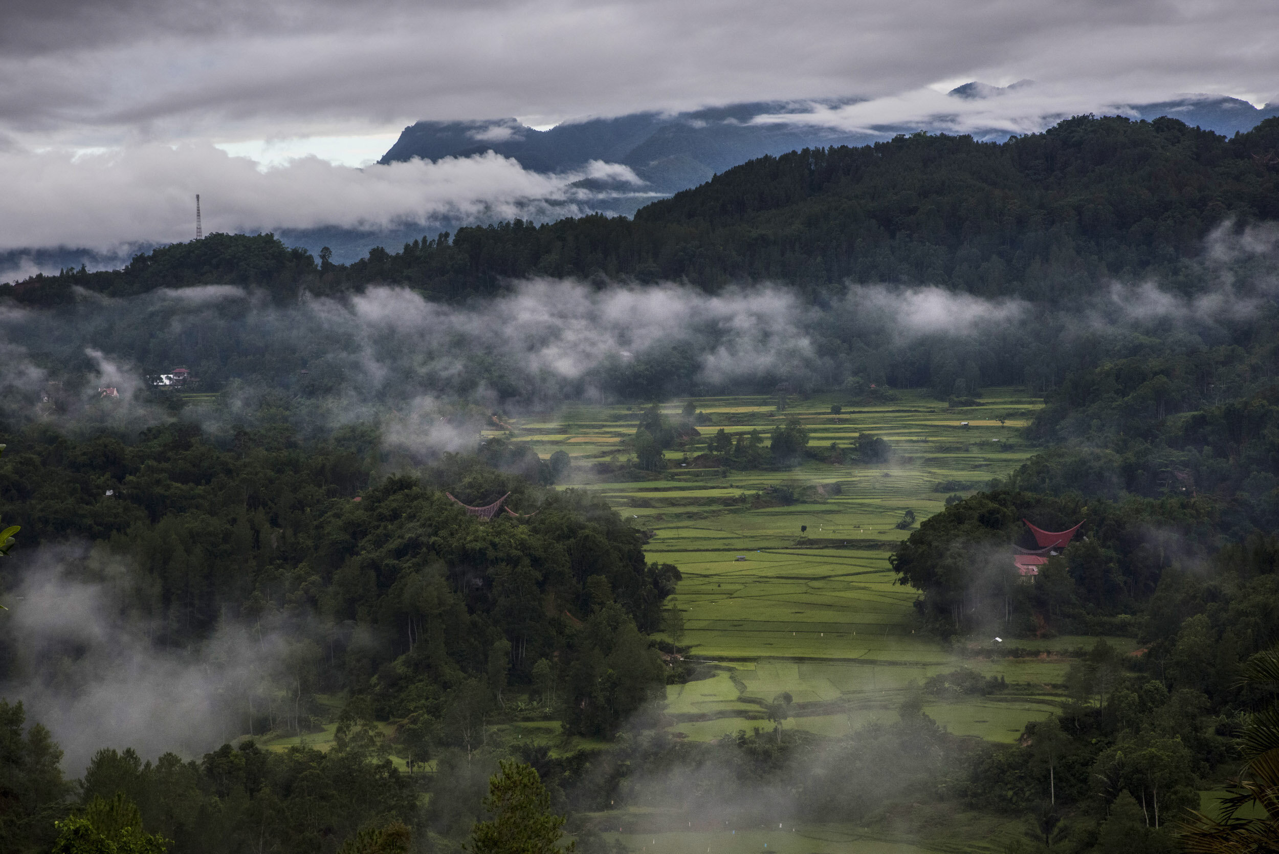 Pemandangan Alam Toraja - KibrisPDR
