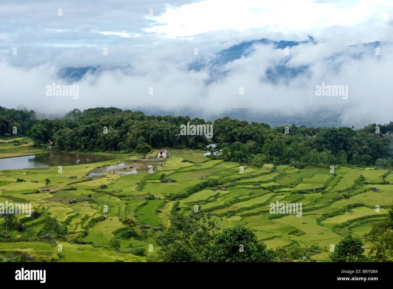 Detail Pemandangan Alam Toraja Nomer 2