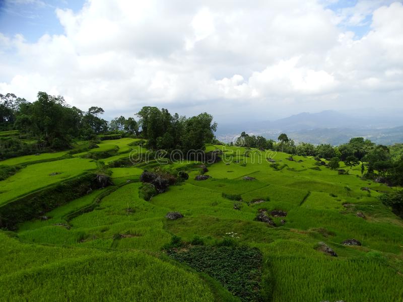 Detail Pemandangan Alam Toraja Nomer 10