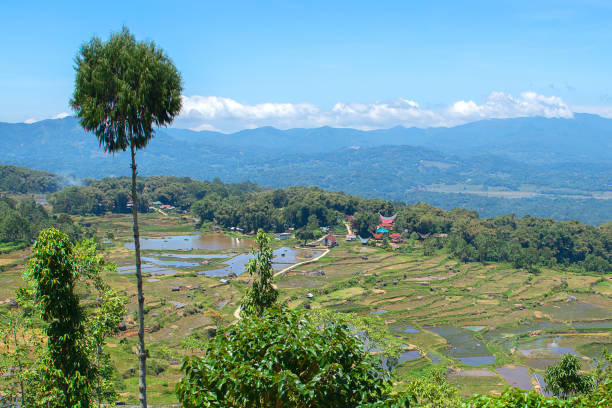 Detail Pemandangan Alam Toraja Nomer 14