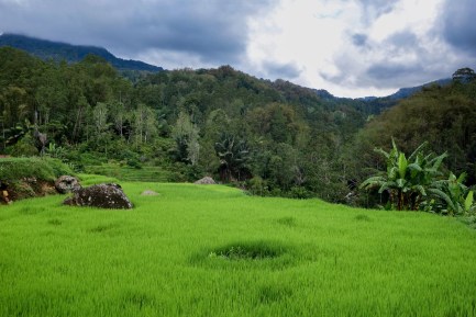 Detail Pemandangan Alam Toraja Nomer 20