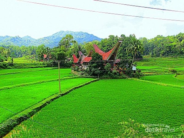 Detail Pemandangan Alam Toraja Nomer 21