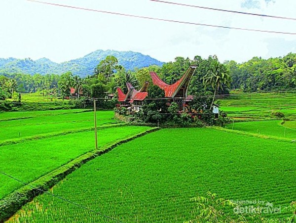 Detail Pemandangan Alam Toraja Nomer 21