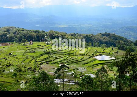 Detail Pemandangan Alam Toraja Nomer 22