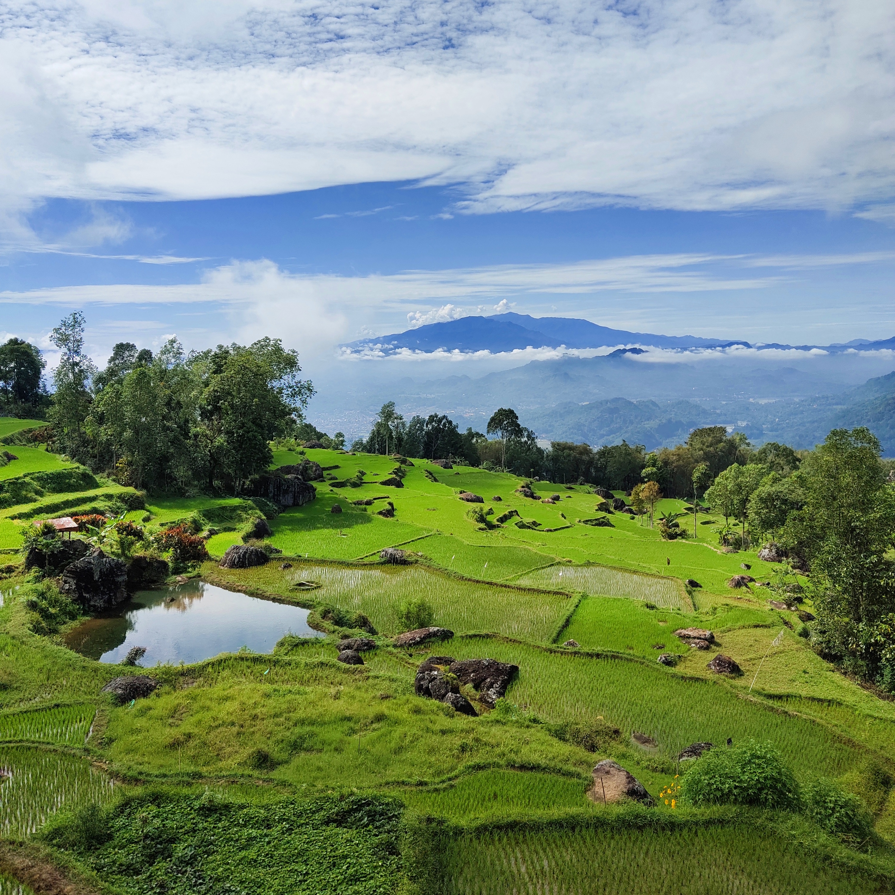 Detail Pemandangan Alam Toraja Nomer 23