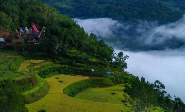 Detail Pemandangan Alam Toraja Nomer 4