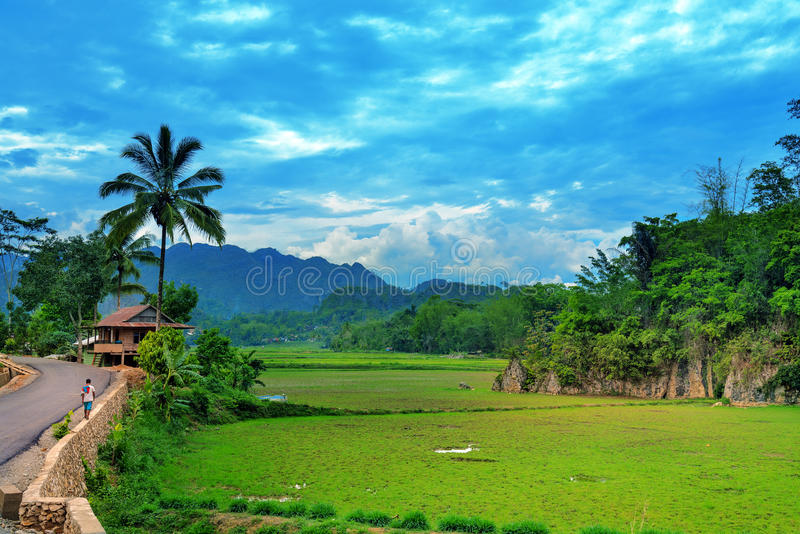 Detail Pemandangan Alam Toraja Nomer 29