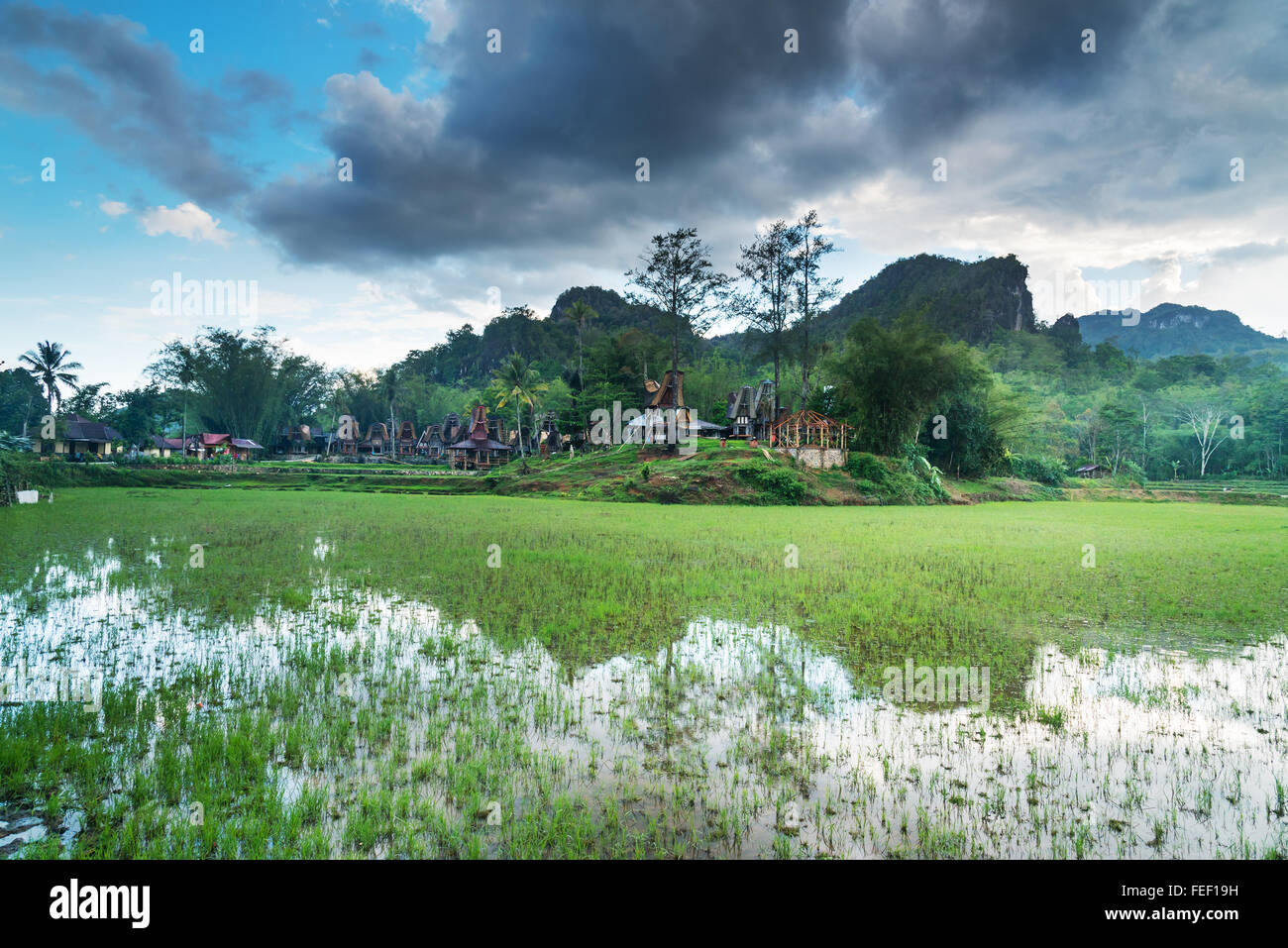 Detail Pemandangan Alam Toraja Nomer 30