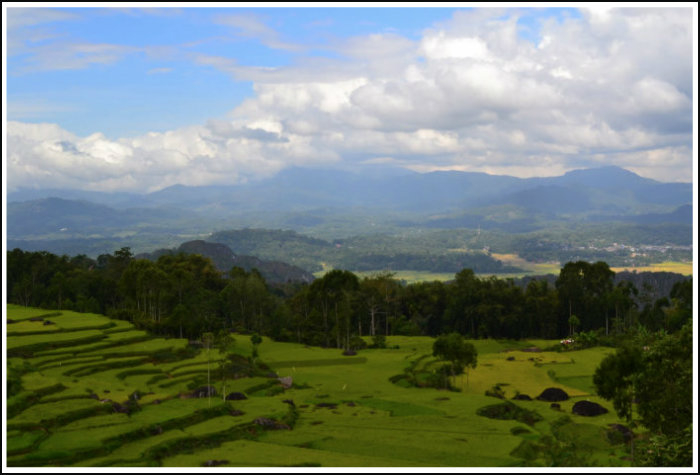 Detail Pemandangan Alam Toraja Nomer 32