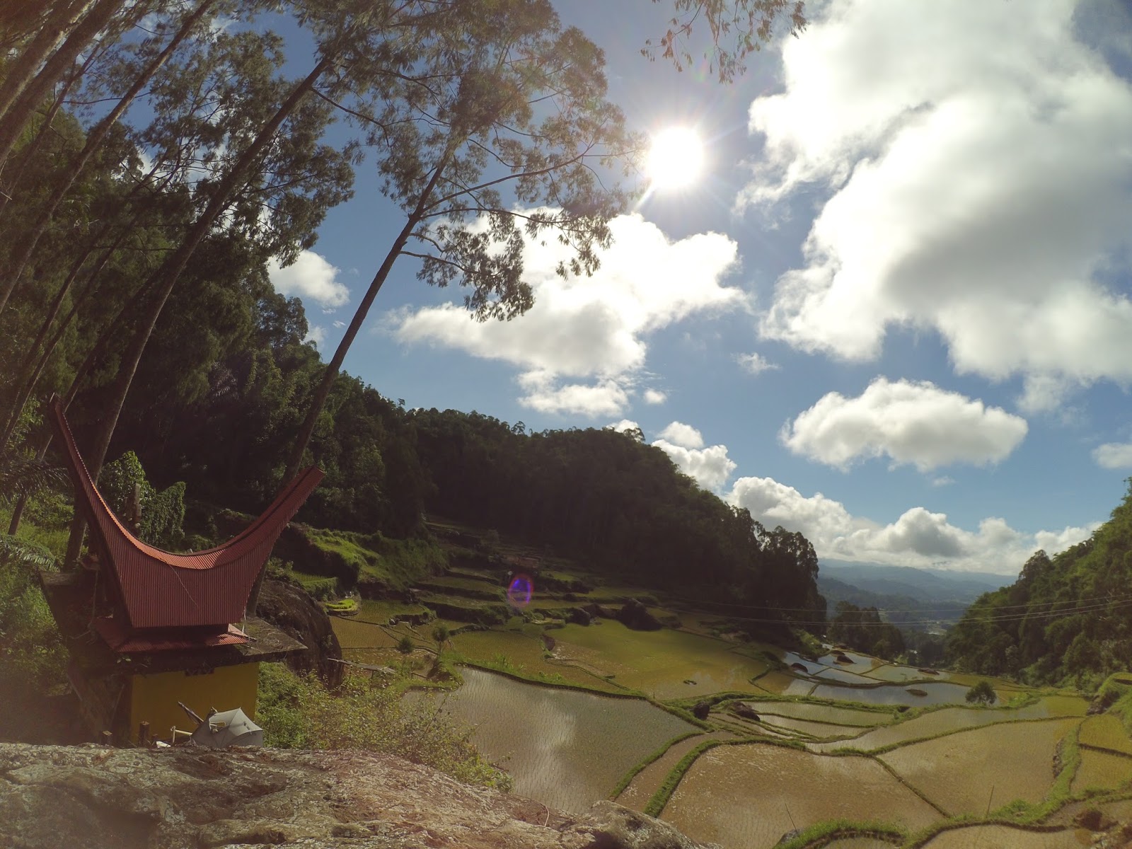 Detail Pemandangan Alam Toraja Nomer 36