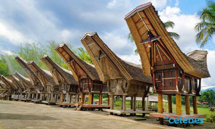 Detail Pemandangan Alam Toraja Nomer 45