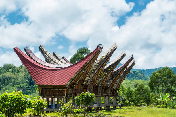 Detail Pemandangan Alam Toraja Nomer 46